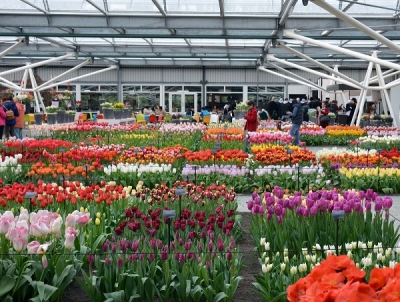 Přivítejte jaro návštěvou největšího květinového parku v Evropě