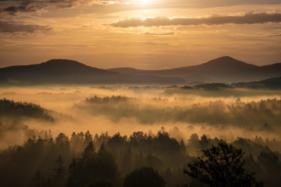 Probl&eacute;my n&aacute;rodn&iacute;ch parků v Česku: Krkono&scaron;e, &Scaron;umava, Česk&eacute; &Scaron;v&yacute;carsko, Podyj&iacute;