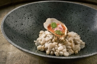 Zdenek's Oyster Bar představuje novinky