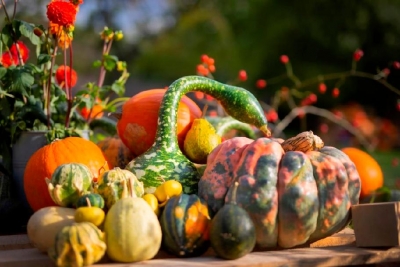 Pestrobarevné plody podzimu zdobí Ornamentální zahradu