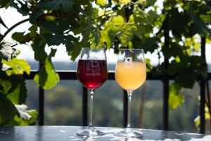 Vinobran&iacute; na Vinici sv. Kl&aacute;ry se bl&iacute;ž&iacute;. Botanick&aacute; zahrada Praha zve na v&iacute;kend pln&yacute; v&iacute;na, hudby a z&aacute;bavy pro velk&eacute; i mal&eacute;