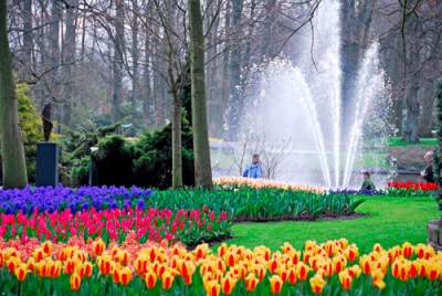 Tip na výlet: Keukenhof, největší květinový park na světě