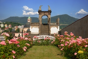 Den růží na zámku v Děčíně