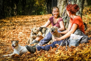 Pozv&aacute;nka: Benefičn&iacute; festival Rock for dogs