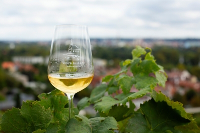 Vinobran&iacute; na Vinici sv. Kl&aacute;ry se bl&iacute;ž&iacute;. Botanick&aacute; zahrada Praha zve na v&iacute;kend pln&yacute; v&iacute;na, hudby a z&aacute;bavy pro velk&eacute; i mal&eacute;