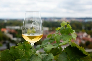 Vinobran&iacute; na Vinici sv. Kl&aacute;ry se bl&iacute;ž&iacute;. Botanick&aacute; zahrada Praha zve na v&iacute;kend pln&yacute; v&iacute;na, hudby a z&aacute;bavy pro velk&eacute; i mal&eacute;